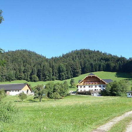 Saint Wolfgang Russbachbauerヴィラ エクステリア 写真