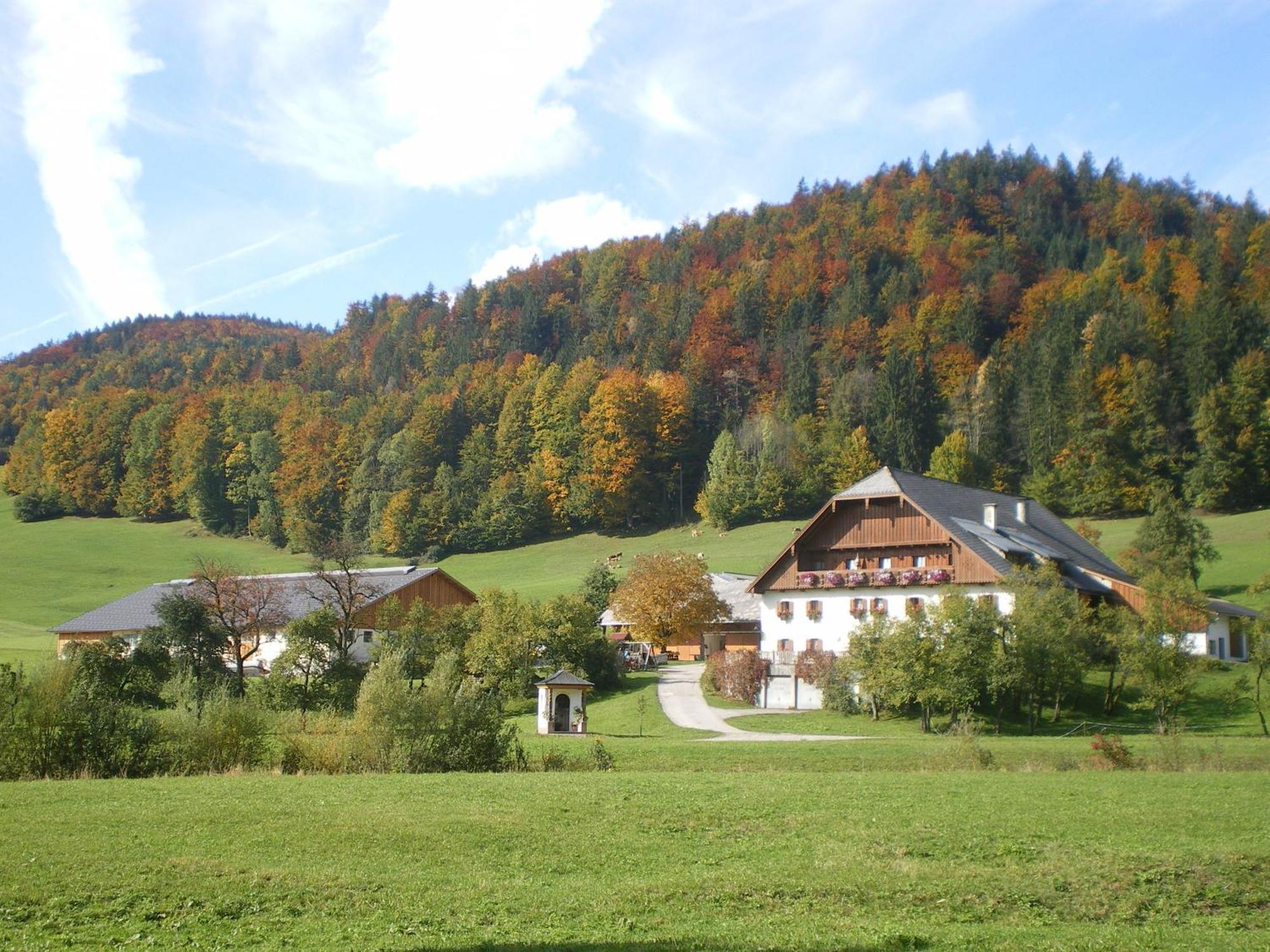 Saint Wolfgang Russbachbauerヴィラ エクステリア 写真