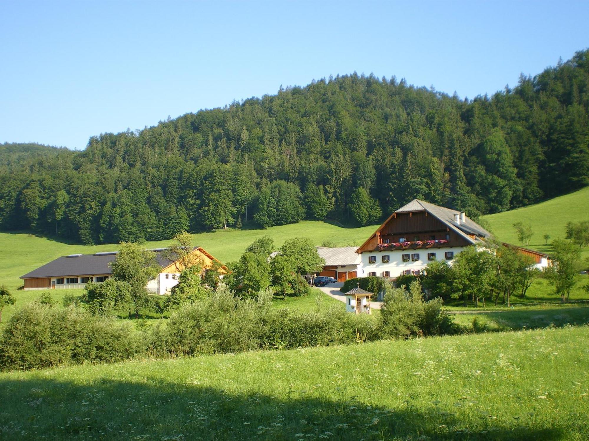 Saint Wolfgang Russbachbauerヴィラ エクステリア 写真