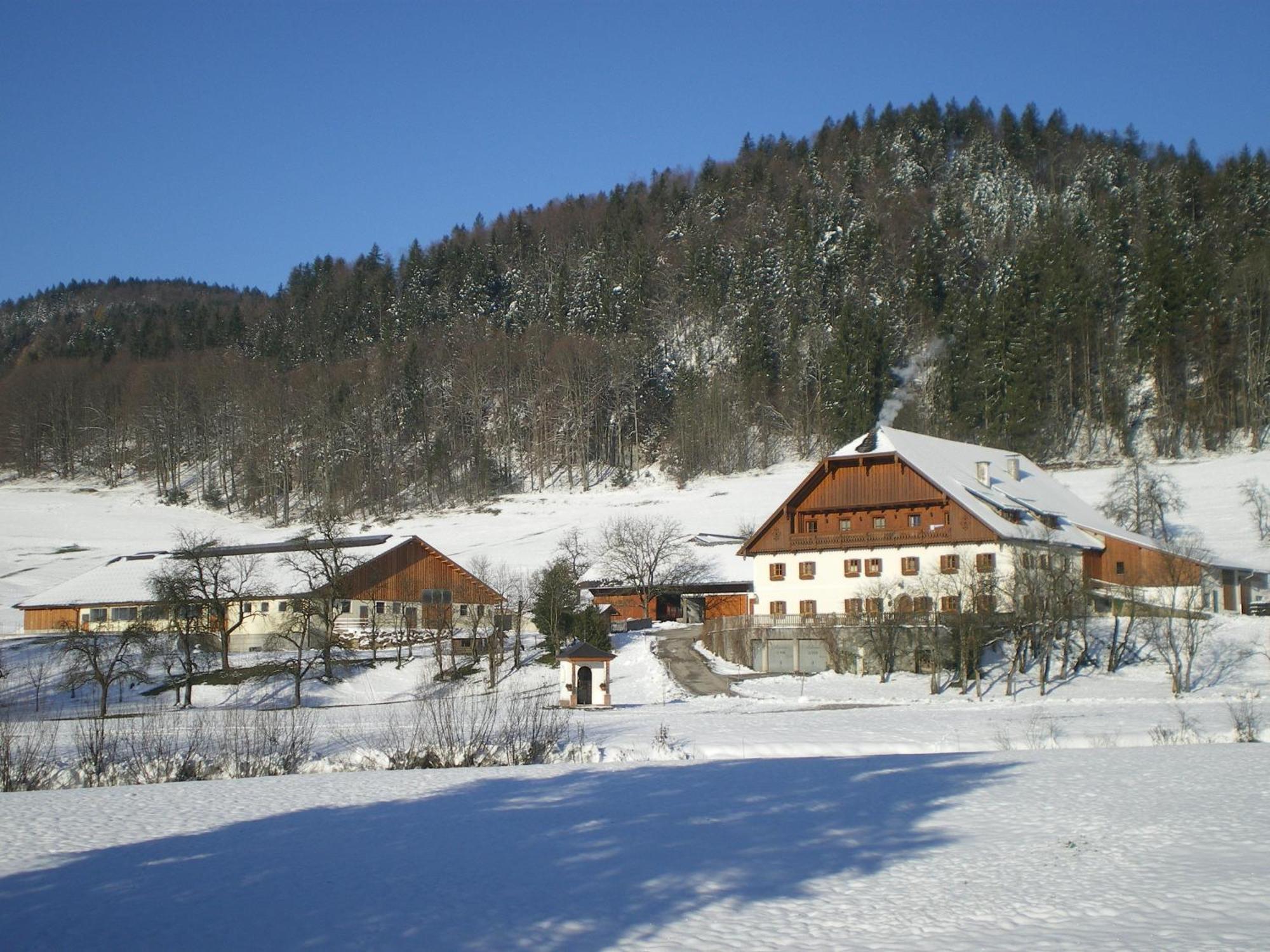 Saint Wolfgang Russbachbauerヴィラ エクステリア 写真