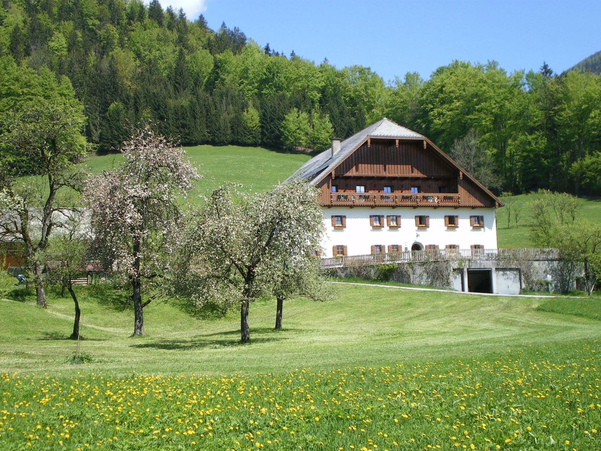 Saint Wolfgang Russbachbauerヴィラ エクステリア 写真