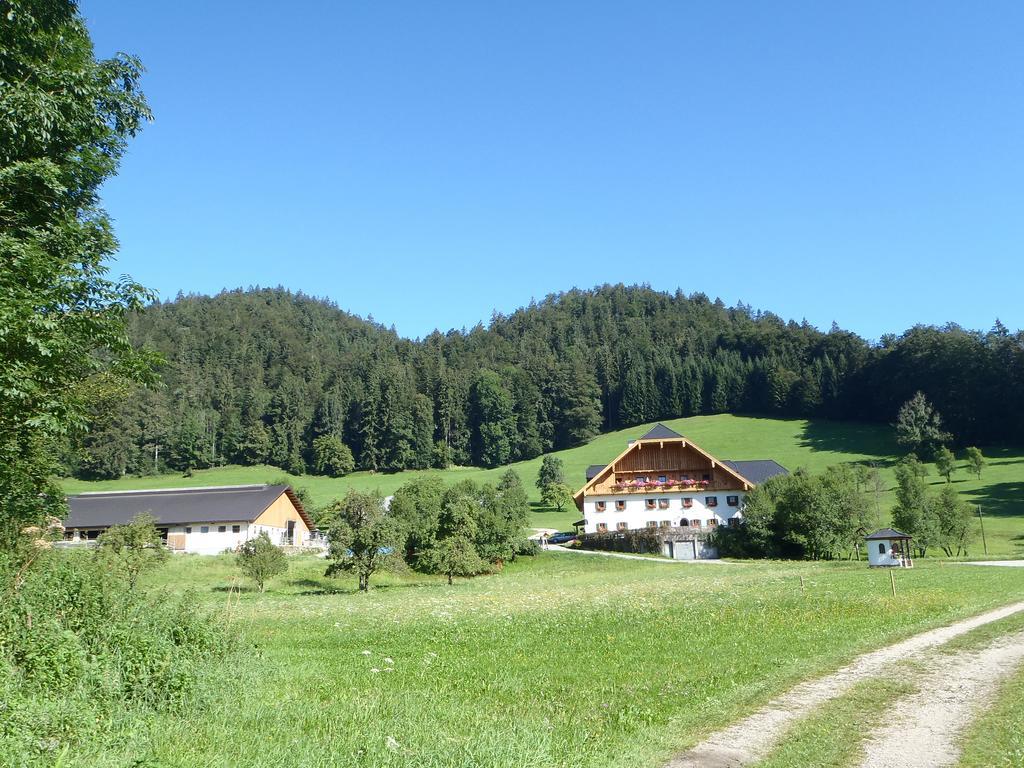 Saint Wolfgang Russbachbauerヴィラ エクステリア 写真